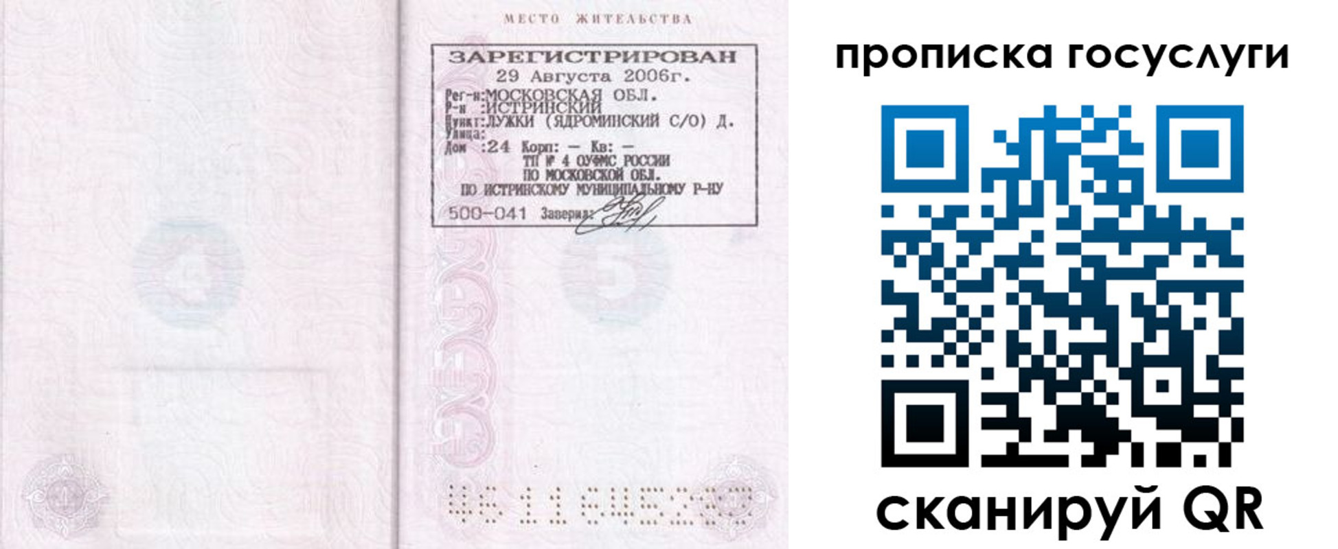 прописка поиск в Клинцах